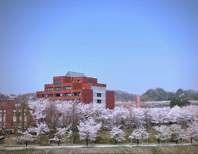 金泽美术工艺大学
